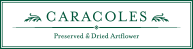 CORACOLES Preserved & Dried Artflowerロゴ
